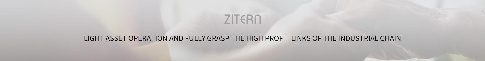 Sodium Ibandronate Injection-Zitern medicine